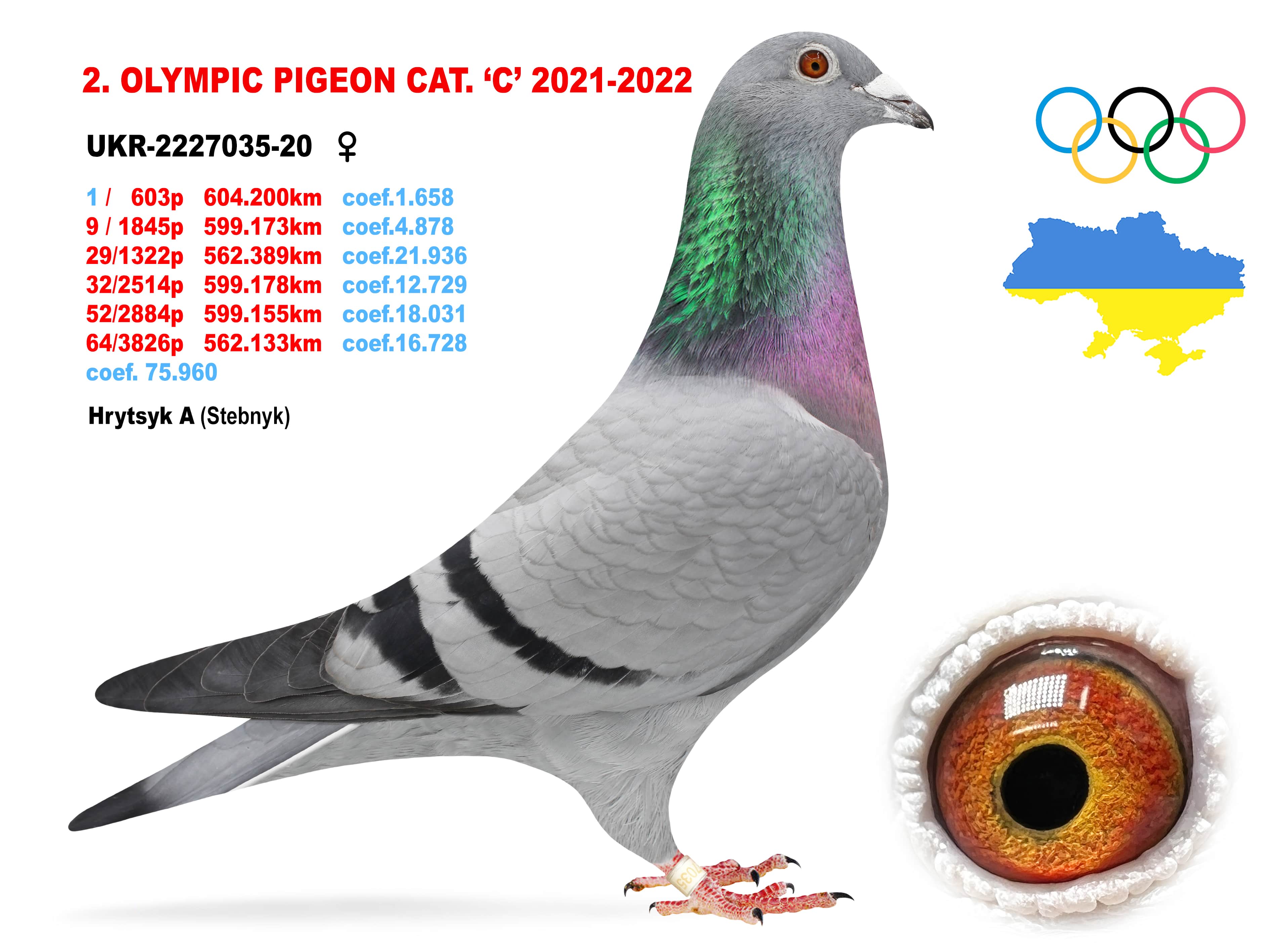 2022-C2